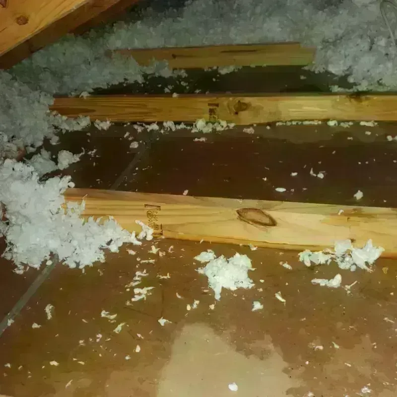 Attic Water Damage in South Williamsport, PA